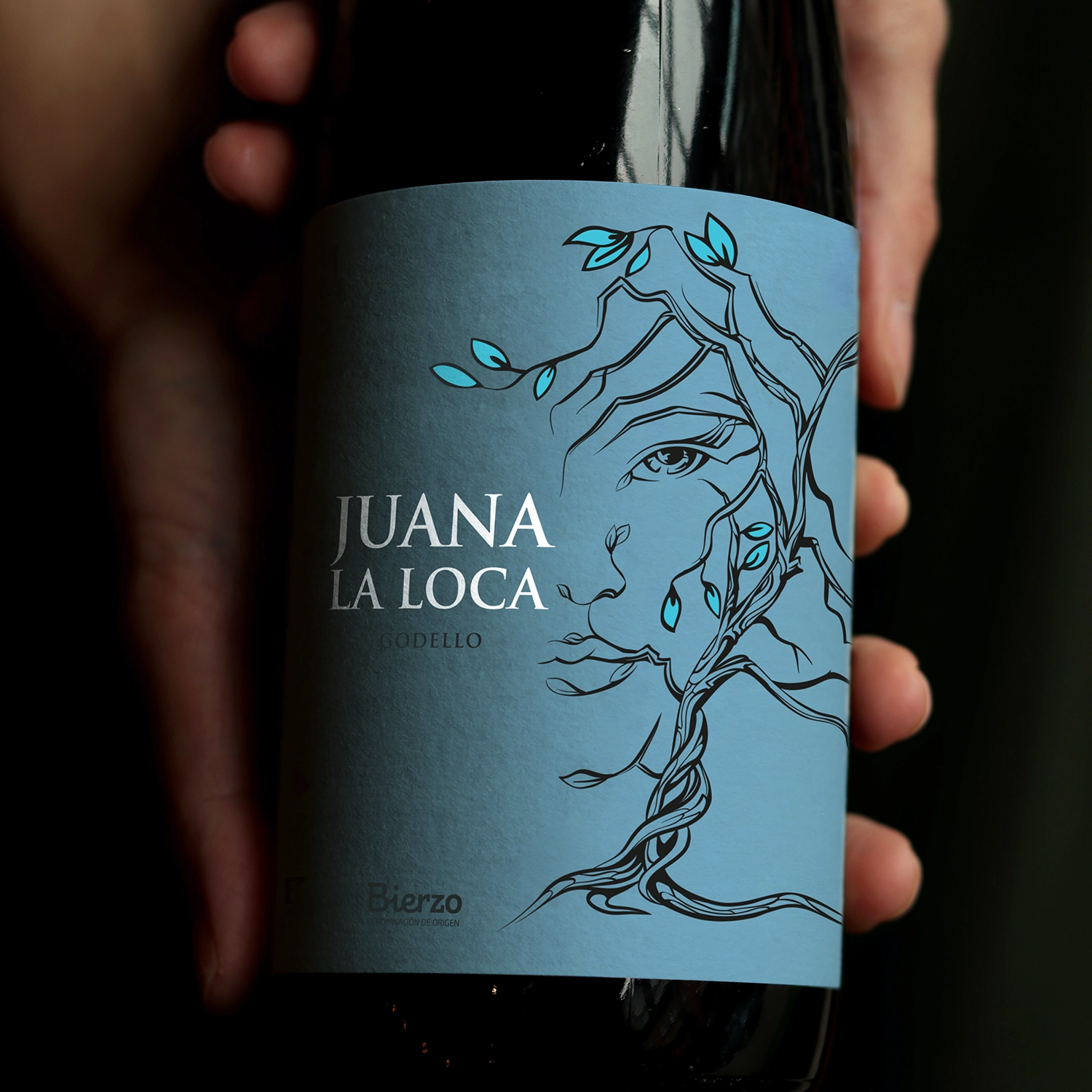 JUANA GODELLO MANOS copia